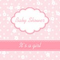 Baby shower invitation. White, hot pink and azure colors. Vintage frame with soother icon on a flower background